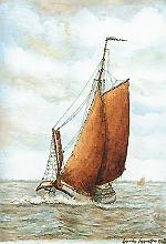 a 51